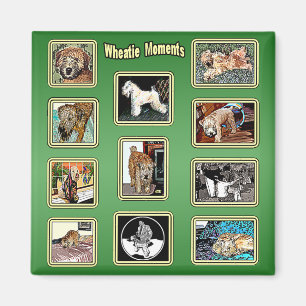 Magnet: Wheatie Momente Magnet