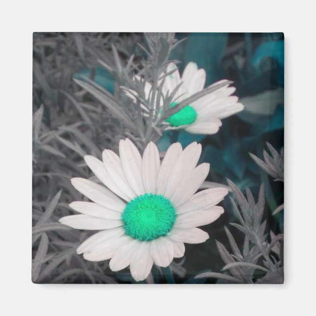 Magnet "White Daisy" (w Green) (Vorne)
