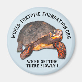 Magnet World Tortoise Foundation