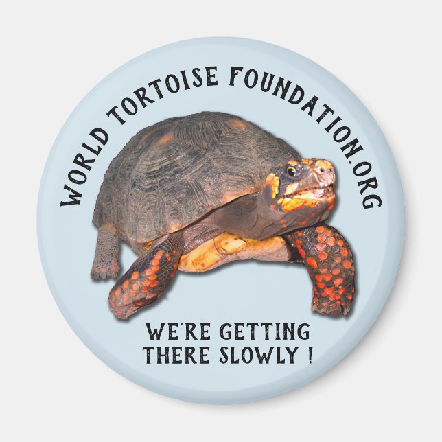 Magnet World Tortoise Foundation (Devant)