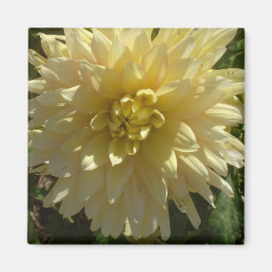 Magnet "Yellow Dahlia" des Künstlers Jan Turner