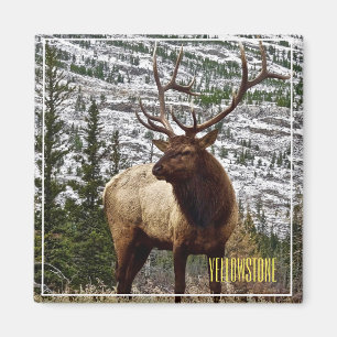 Magnet Yellowstone Elch