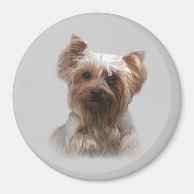 Magnet Yorkshire Terrier (Devant)
