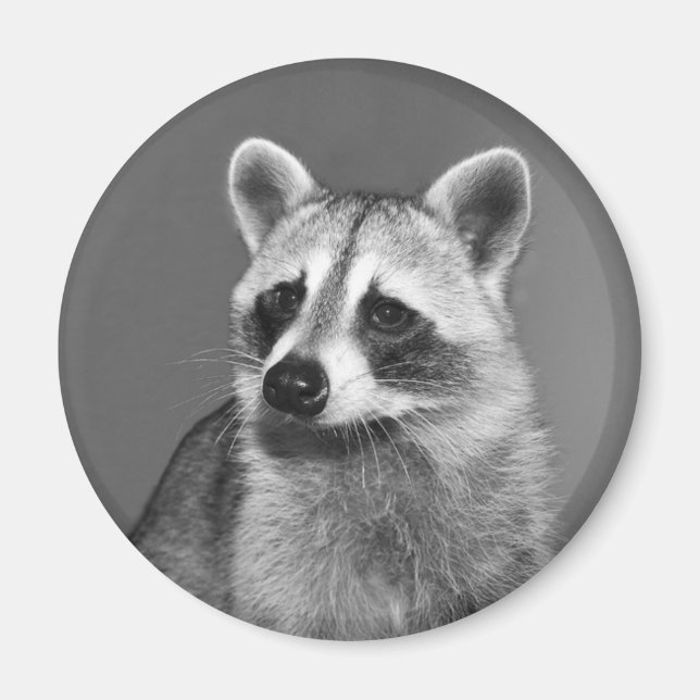 Magnetbulle Magnet (Vorne)