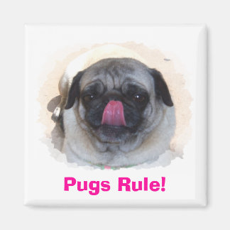 Magnete für Personalisiertes Foto Magnet