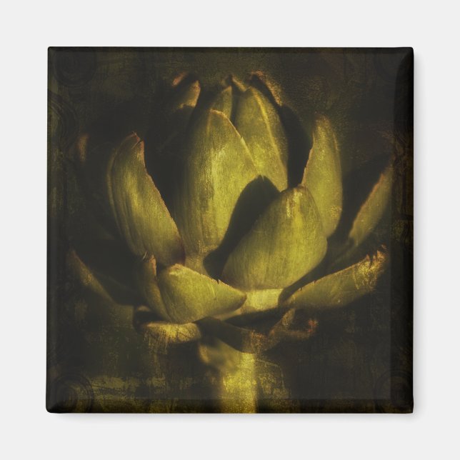 Magnete Magnet (Vorne)