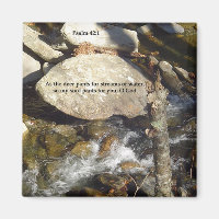 Magnete: Stream Psalm