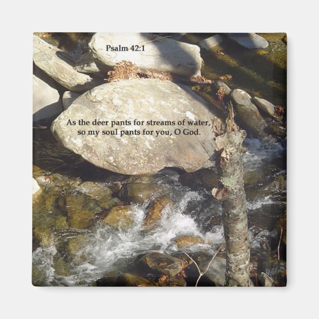 Magnete: Stream Psalm Magnet (Vorne)