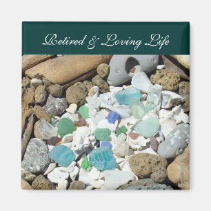 Magnete von Life Ocean Beach Seashell Magnet