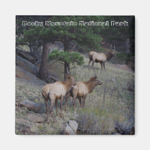 Magnetfelder im Nationalpark Rocky Mountain Magnet