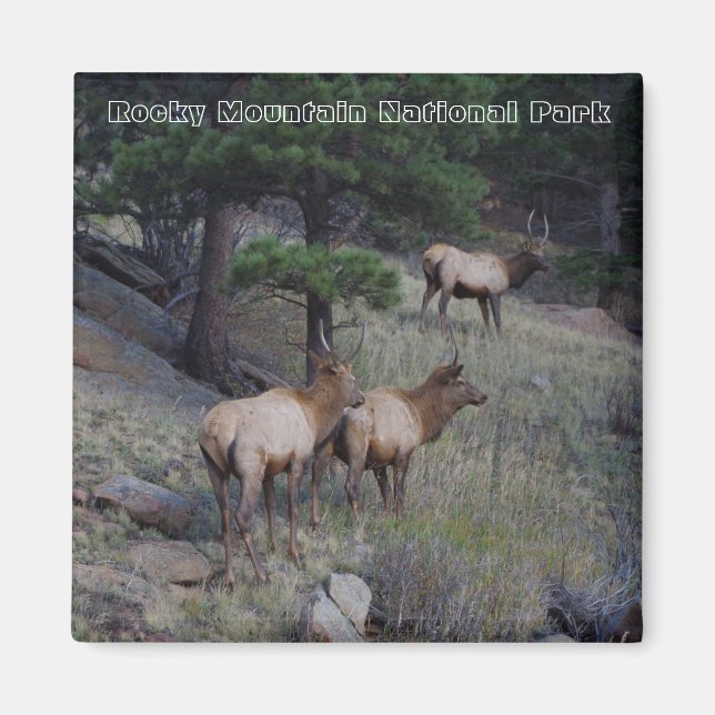 Magnetfelder im Nationalpark Rocky Mountain Magnet (Vorne)