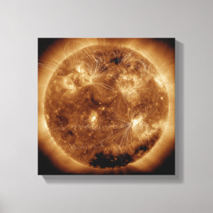 Magnetfeldlinien auf dem Sun 2 Leinwanddruck