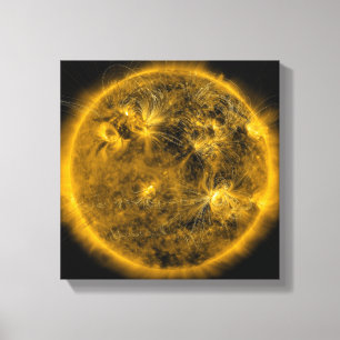Magnetfeldlinien auf dem Sun Leinwanddruck