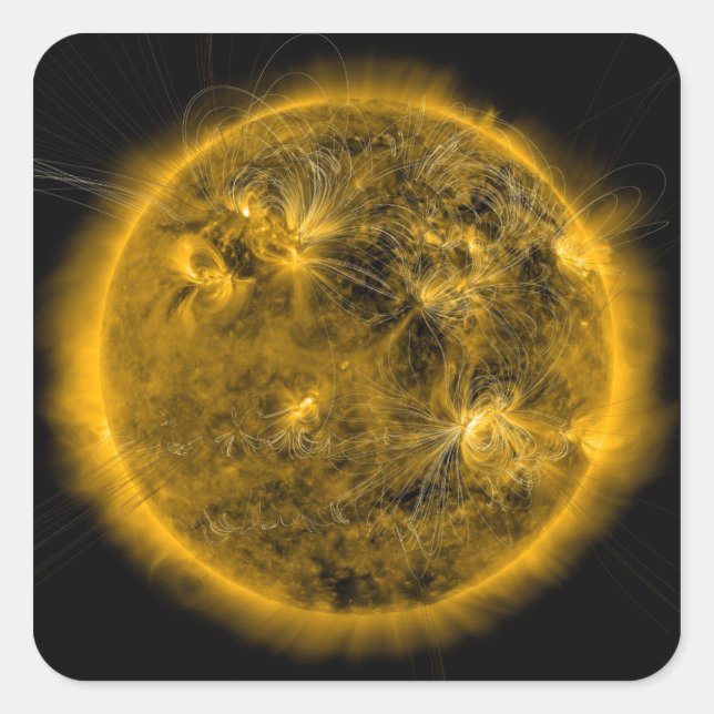 Magnetfeldlinien auf der Sonne Quadratischer Aufkleber (Vorderseite)