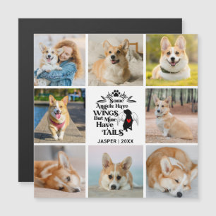 Magnétique 8 Photo Collage Perte de chien Souvenir Carte magn