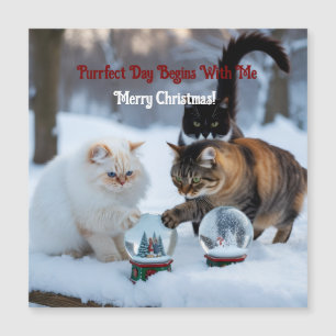Magnétique Chats avec Boules à Neige Personnaliser Carte Magn