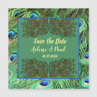 Magnétique Élégante carte de plume bleu vert Peacock