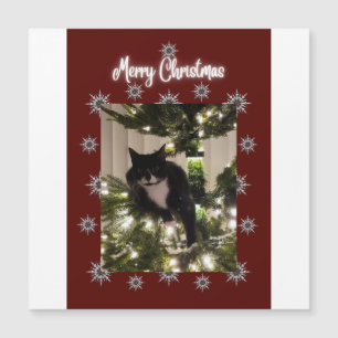 Magnétique Joyeuse carte de Noël avec Tuxedo cat sur mon arbr