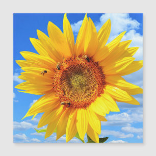 Magnetische Sommerkarte mit gelber Sonnenblume Magnetkarte