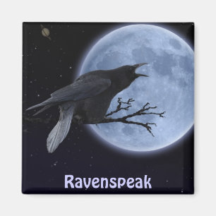 MAGNETISCHE ZAUBER MAGNET