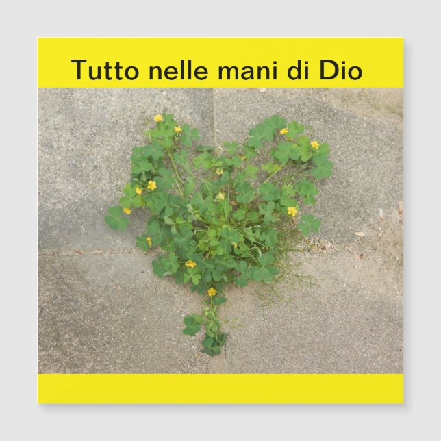 Magnetkarte (Vorderseite)