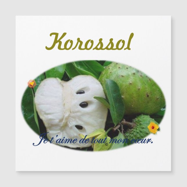 Magnetkarte (Vorderseite)