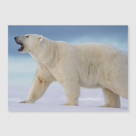 Magnetkarte des Polarbärs