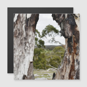 Magnetkarte im Naturfenster