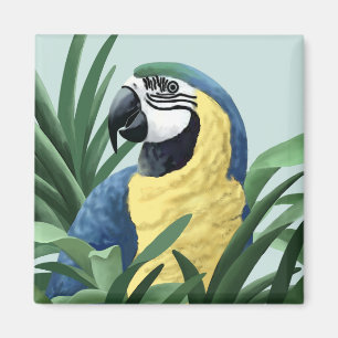 Magnets Blue Macaw