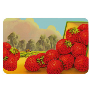 Magnets d'art vintage de fraises