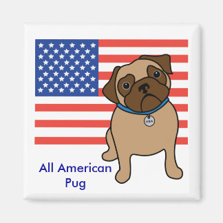 Magnets de Carlin du drapeau américain personnalis