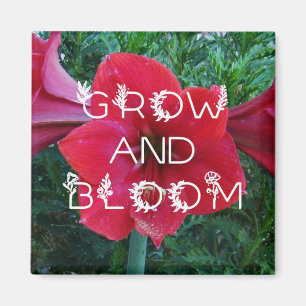 magnets de "Grow and Bloom"