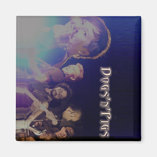 Magnets de la bande D'n'P (Devant)