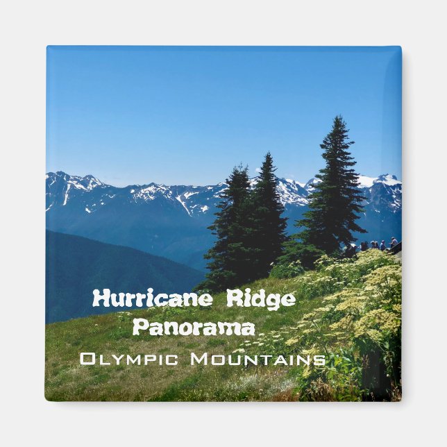 Magnets de souvenirs : Hurricane Ridge-Olympic Mtn (Devant)