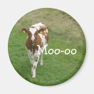 Magnets de vache