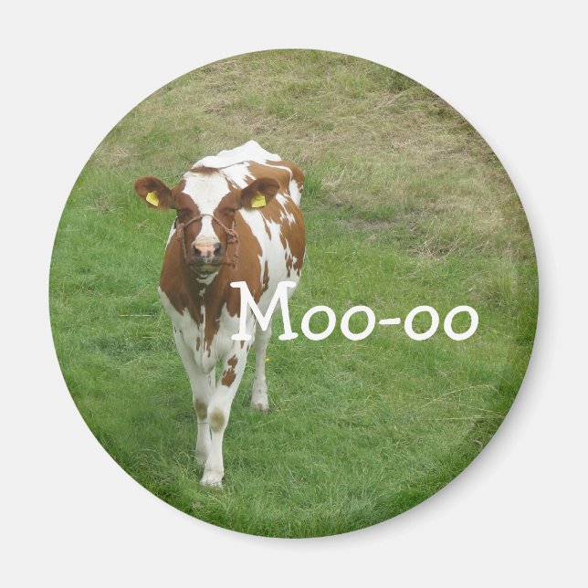 Magnets de vache (Devant)