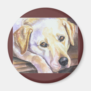 Magnets du Labrador Retriever