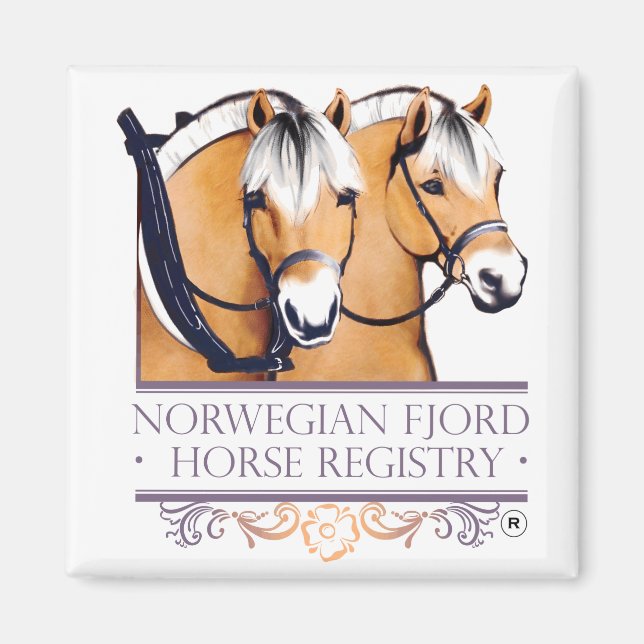 MAGNETS du logo de la NFHR (Devant)