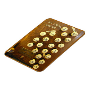 Magnets flexibles pour organes