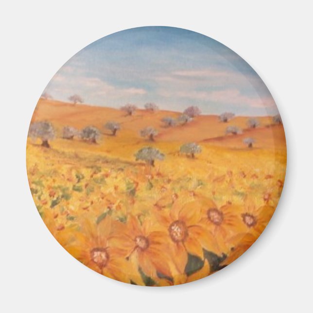 MAGNETS / IMANS (Devant)