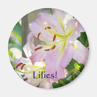 Magnets Lys rose Fleur de lys Magnets floraux