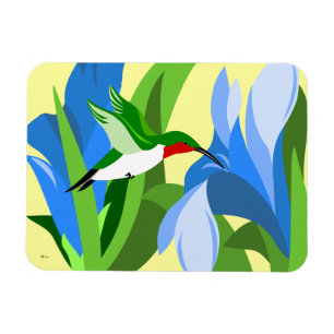Magnets rectangulaires des colibris
