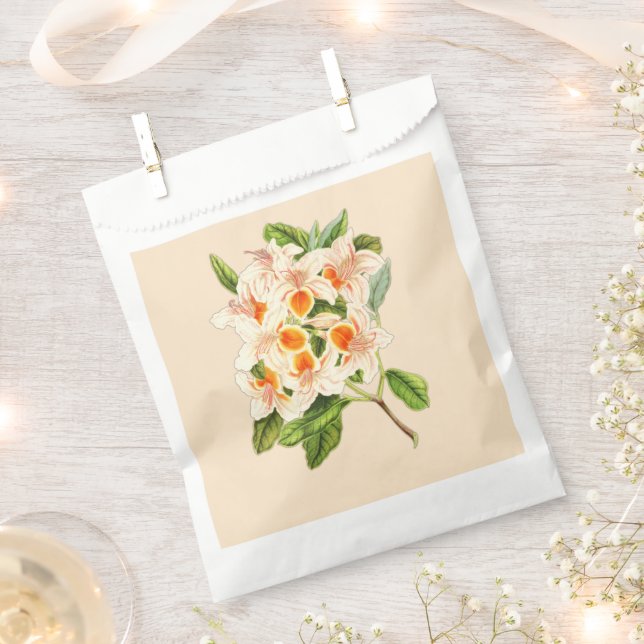 Magnificent azalea, Blumenorange Geschenktütchen (Ausgeschnitten)