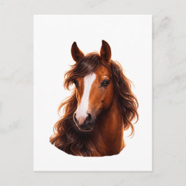Magnificent, Brown horse with white blaze Postkarte