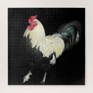 Magnificent Cockerel No. 1