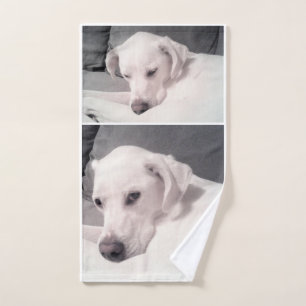 Magnifique brun blanc du Labrador Mix Dog Gray Han