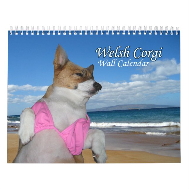 Magnifique Calendrier gallois de Corgi (Protection)
