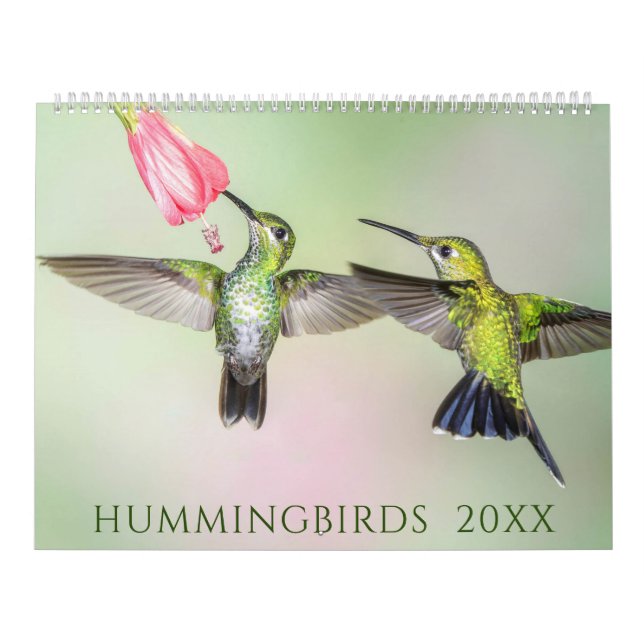 Magnifique calendrier photo Hummingbirds (Protection)