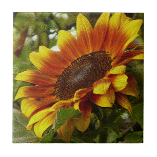 Magnifique Carreau en Céramique de Tournesol Jaune