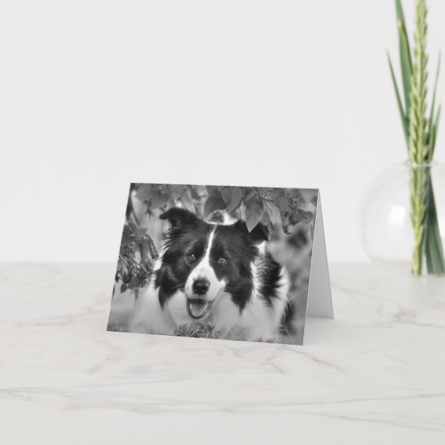 Magnifique CARTE D'Anniversaire Collie (Devant)